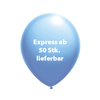 Luftballon 85/95 Kleinauflage EXPRESS