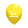 Luftballon 85/95 Kleinauflage EXPRESS