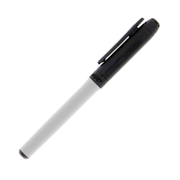 BIC Great Erase White Board Marker