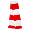 Result Team Scarf