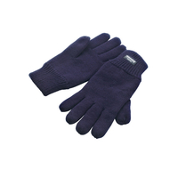 Result Fully Lined Thinsulate Gloves