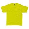 SG Heavyweight T-Shirt