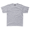 SG Heavyweight T-Shirt