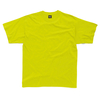 SG Kids' Heavyweight T-Shirt