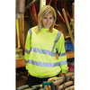 /WebRoot/Store/Shops/Hirschenauer/5163/D298/266D/83DA/706C/4DEB/AE76/07CD/10547-01-hi-vis-yellow-1_s.jpg