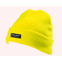 Yoko Hi-Vis Thinsulate™ Hat