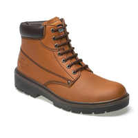 Dickies Antrim Super Safety Boot