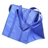 Kühltasche Non Woven
