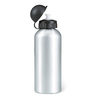 Biscing Metall Trinkflasche EXPRESS