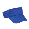 Sunvisor Tiger