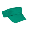 Sunvisor Tiger