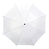 Regenschirm FirstClass