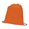 Promobag Non-Woven