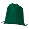 Promobag Non-Woven