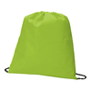 Promobag Non-Woven