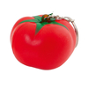 Antistress Schlüsselanhänger Fruty