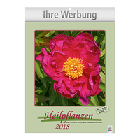 Bildkalender Heilpflanzen