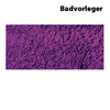 Badvorleger Sylt