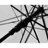 /WebRoot/Store/Shops/Hirschenauer/582E/D627/2658/0D78/835A/4DEB/AE8B/E1E1/77263WE_Hit_Lang_Ac_weiss_detail_gestell_s.jpg