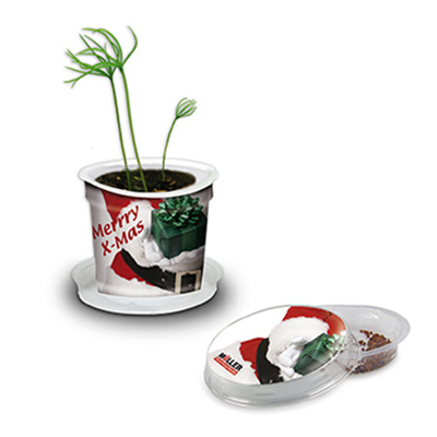 /WebRoot/Store/Shops/Hirschenauer/588B/3AA3/FDF5/6FDE/A454/4DEB/AE8B/09A0/Weihnachts_Florero-Toepfchen.jpg