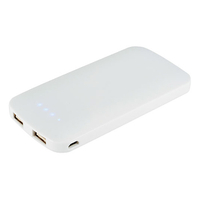 Bullet Dual Powerbank 4000 Zippy Slim EXPRESS