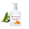 Handbalsam Ingwer, 300 ml, Body Label