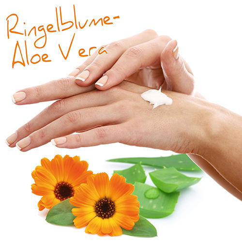 /WebRoot/Store/Shops/Hirschenauer/58E2/444A/0A7F/FFBE/E552/4DEB/AE8B/97E1/handbalsam_ringelblume5.jpg