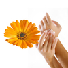 /WebRoot/Store/Shops/Hirschenauer/58E2/4636/41FF/9802/4211/4DEB/AE8B/75FC/fuellung_handbalsam_ringelblume_s.jpg