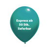 Luftballon 85/95 Kleinauflage EXPRESS