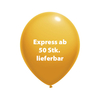 Luftballon 85/95 Metallic Kleinauflage EXPRESS