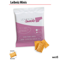 Leibniz Minis