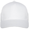 /WebRoot/Store/Shops/Hirschenauer/6161/CD95/AB9D/96BA/D805/AC1E/1702/2600/3023_2021_19838_s.jpg