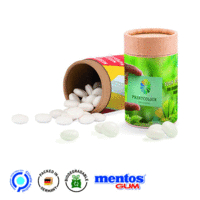 Papierdose Eco Midi mit Mentos Gum Peppermint zuckerfrei