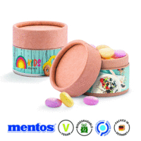 Papierdose Eco Mini mit Mentos Kaudragees Fruit