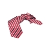 /WebRoot/Store/Shops/Hirschenauer/69D1/2295/4106/63FC/AFC6/AC1E/1702/4920/w1_AP1228-08-02_s.jpg