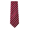 /WebRoot/Store/Shops/Hirschenauer/69D1/2295/4106/63FC/AFC6/AC1E/1702/4920/w1_AP1228-08-04_s.jpg