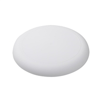 Horizon Frisbee