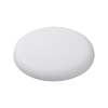 Horizon Frisbee
