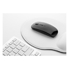 /WebRoot/Store/Shops/Hirschenauer/69D1/6B37/B6A7/FE7A/867A/AC1E/1702/8529/w1_AP864010-10-03_s.jpg