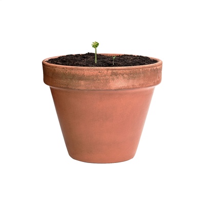 /WebRoot/Store/Shops/Hirschenauer/69D1/7674/EAC8/C5FD/7356/AC1E/1702/85C4/w1_AP722388-04.jpg