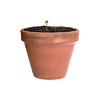 /WebRoot/Store/Shops/Hirschenauer/69D1/7674/EAC8/C5FD/7356/AC1E/1702/85C4/w1_AP722388-04_s.jpg