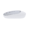 /WebRoot/Store/Shops/Hirschenauer/69D1/9E4A/C0C6/7751/D5DF/AC1E/1702/98B6/w1_AP735511-21-05_s.jpg