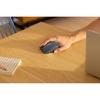 /WebRoot/Store/Shops/Hirschenauer/69E2/570D/99BA/CA50/A4F1/AC1E/1702/9FA3/w1_263208-001999999-05_s.jpg