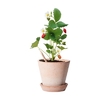 /WebRoot/Store/Shops/Hirschenauer/69E2/705F/FA80/26C0/6930/AC1E/1702/16C9/w1_269367-945999320-02_s.jpg