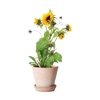 /WebRoot/Store/Shops/Hirschenauer/69E2/705F/FA80/26C0/6930/AC1E/1702/16C9/w1_269367-945999570-02_s.jpg