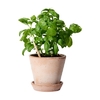 /WebRoot/Store/Shops/Hirschenauer/69E2/705F/FA80/26C0/6930/AC1E/1702/16C9/w1_269367-945999573-02_s.jpg