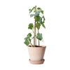 /WebRoot/Store/Shops/Hirschenauer/69E2/705F/FA80/26C0/6930/AC1E/1702/16C9/w1_269367-945999756-02_s.jpg