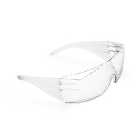 Schutzbrille Safety