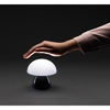 /WebRoot/Store/Shops/Hirschenauer/69FB/4C43/8D21/6F35/3BDF/AC1E/1702/139B/w1_P513_741-05_s.jpg